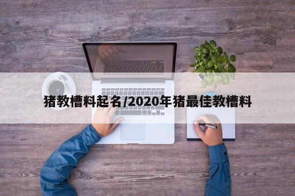 猪教槽料起名/2020年猪最佳教槽料